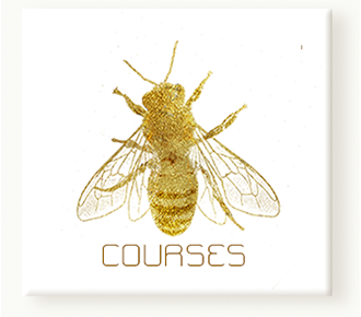 Courses